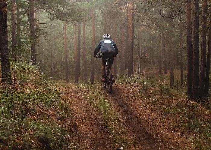 Le Burin Des Rosiers Apartment